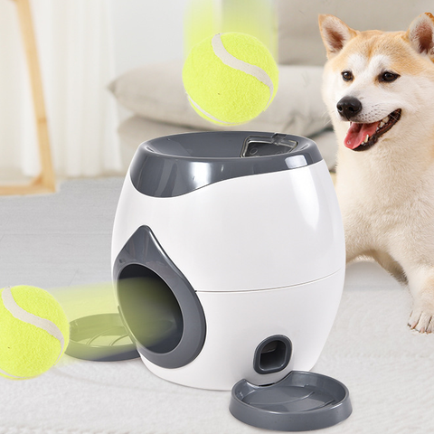 Smart Pet Feeder